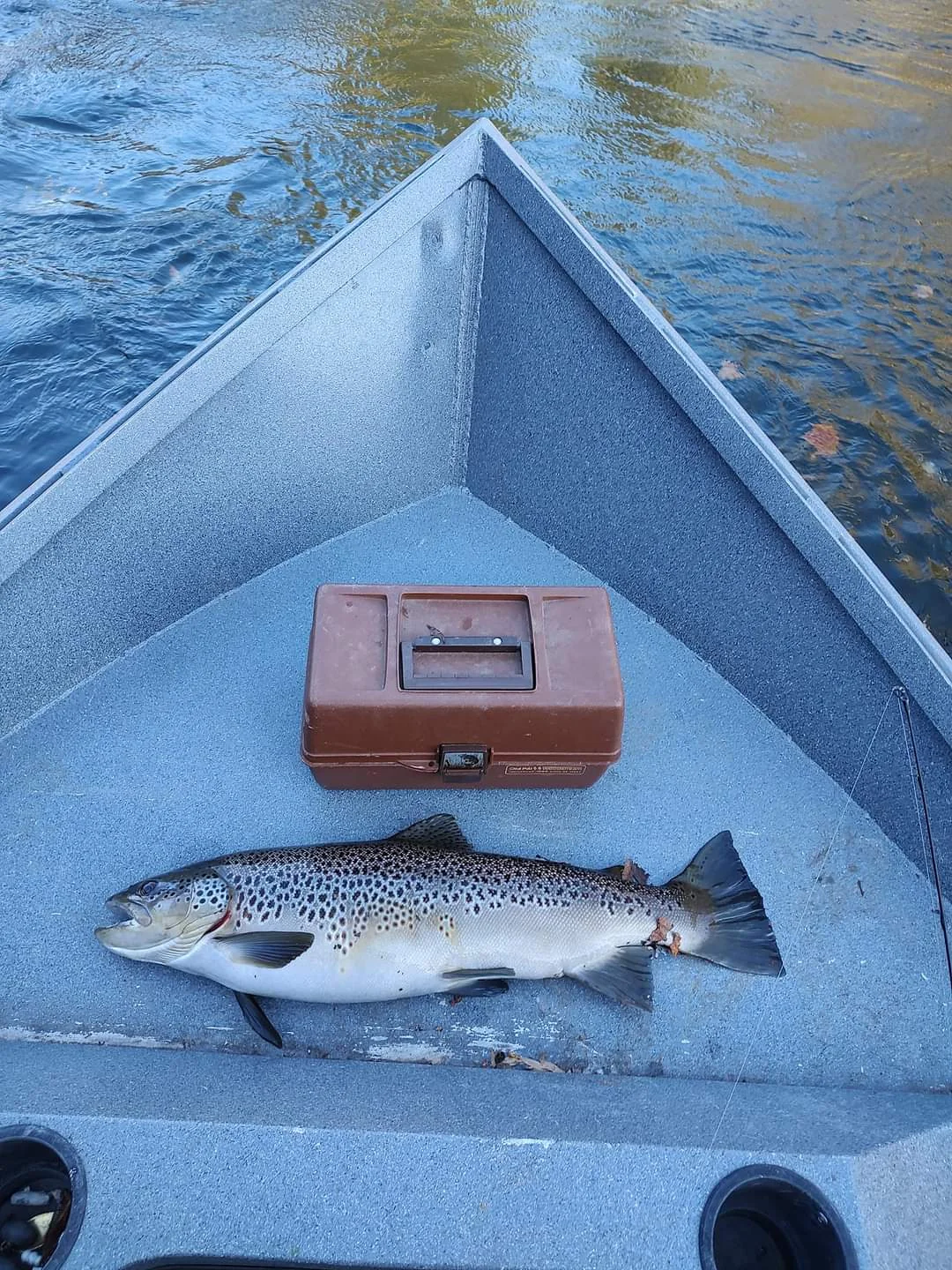 High Country Trout Charters fishing photo