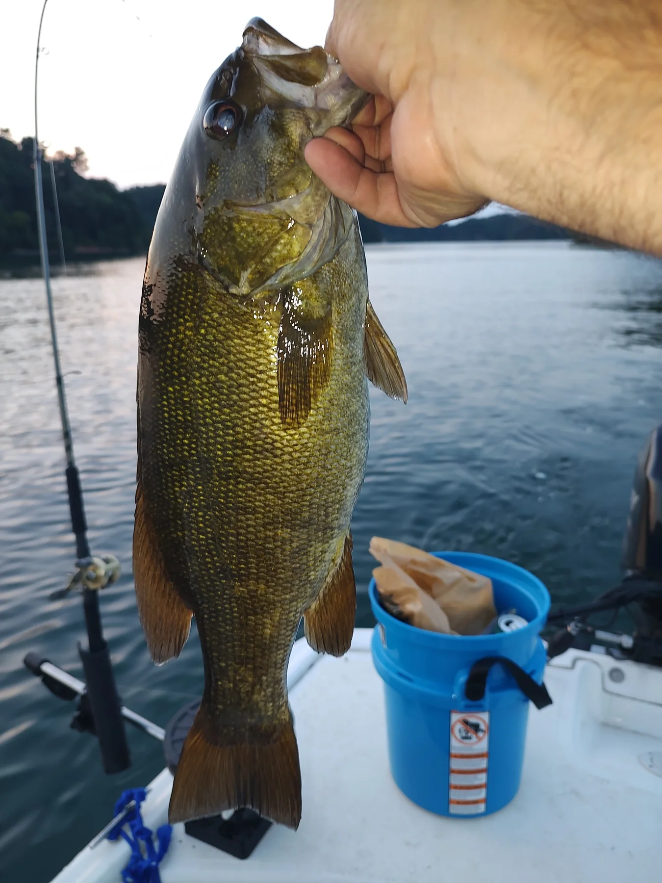 Smallmouth bass caught from a lake boat