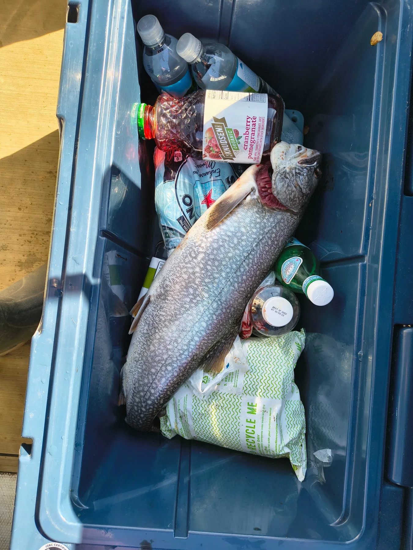 High Country Trout Charters fishing photo