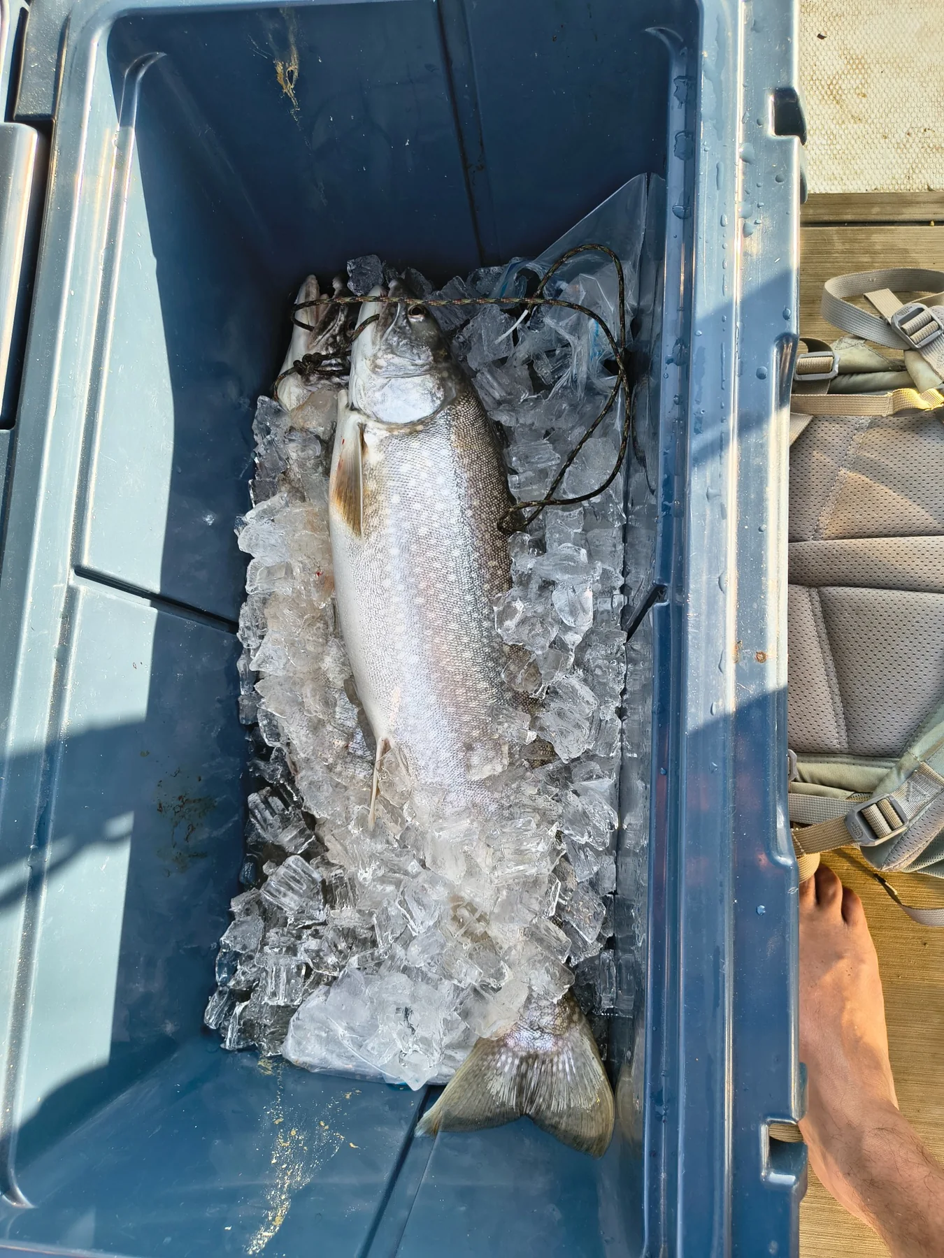 High Country Trout Charters fishing photo