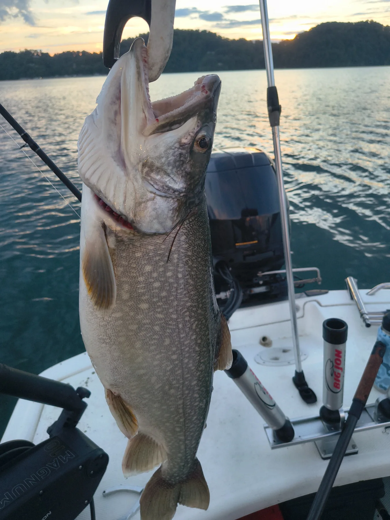Fish caught at sunset on a lake
