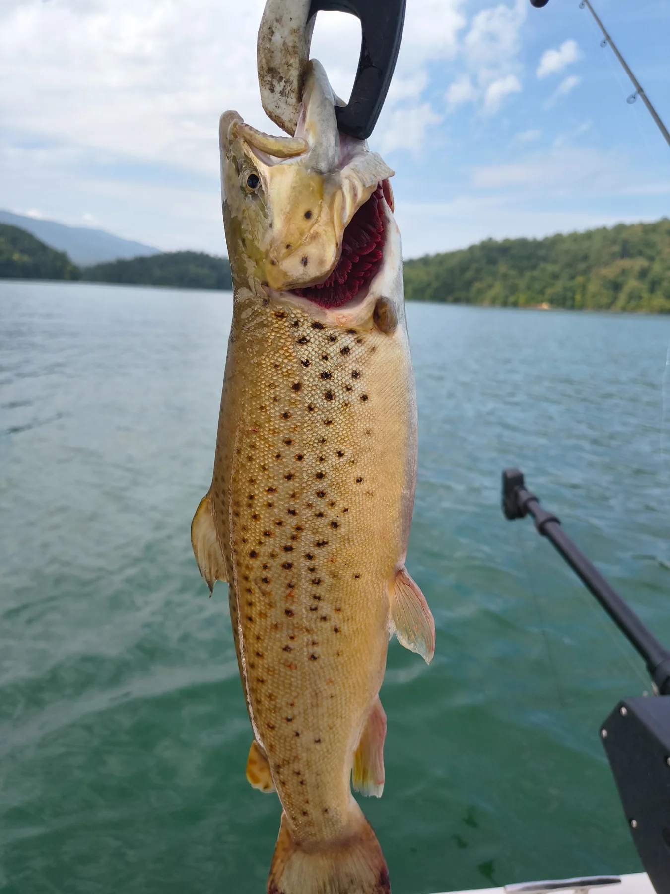 High Country Trout Charters fishing photo