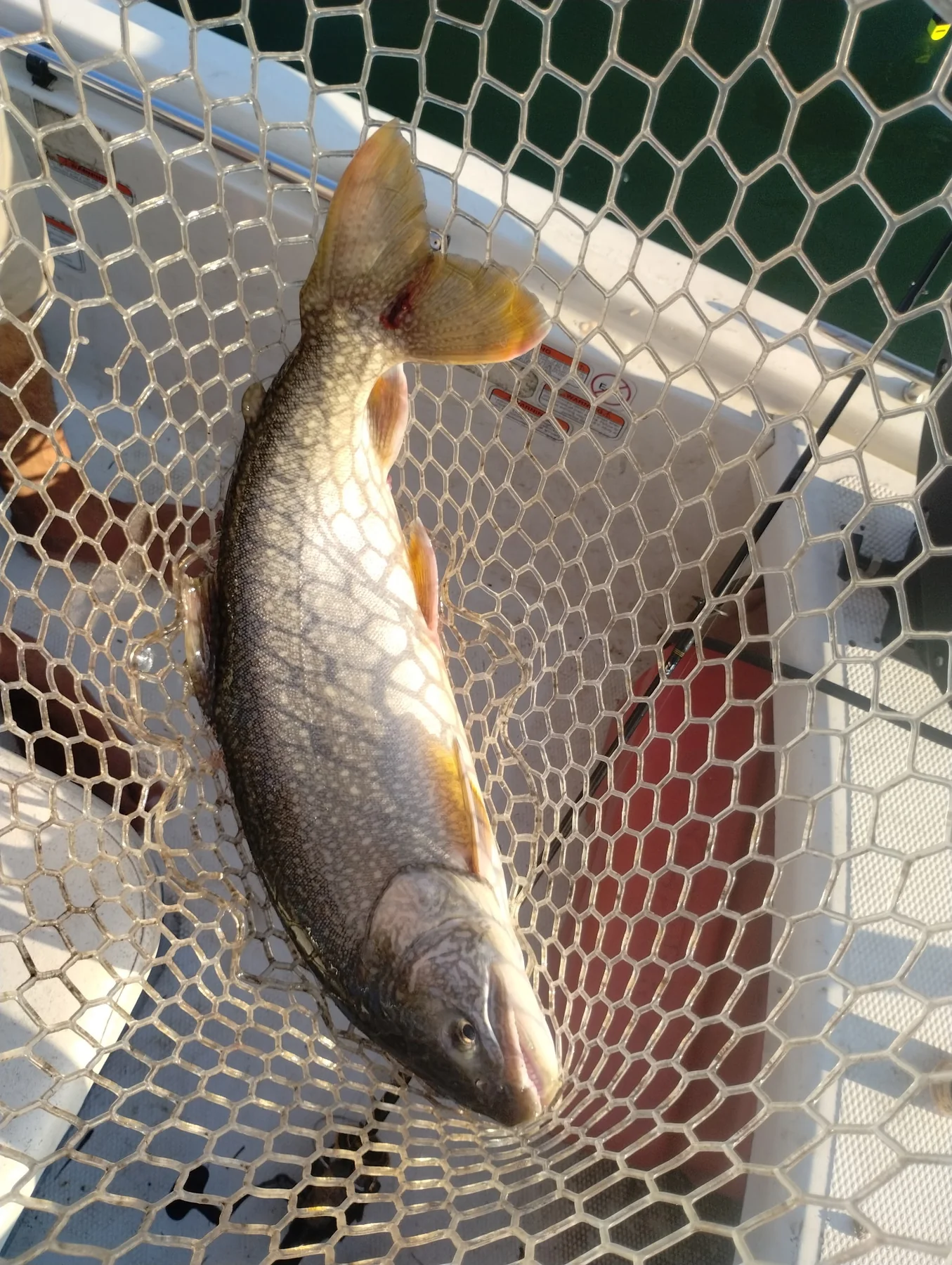 High Country Trout Charters fishing photo